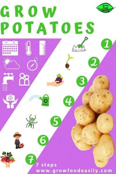 easy way to grow potatoes e1567366032617
