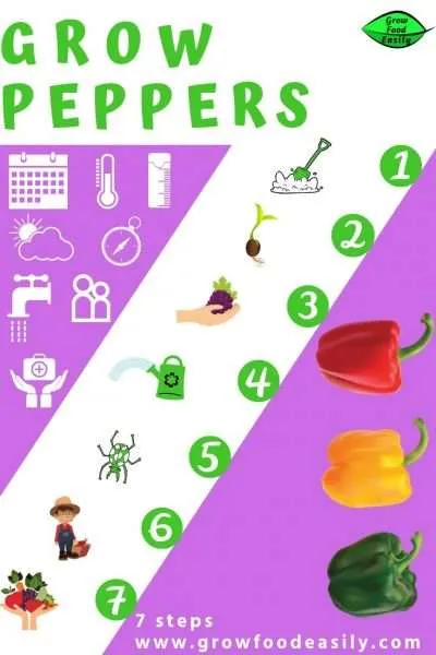 how to grow peppers e1567358449159