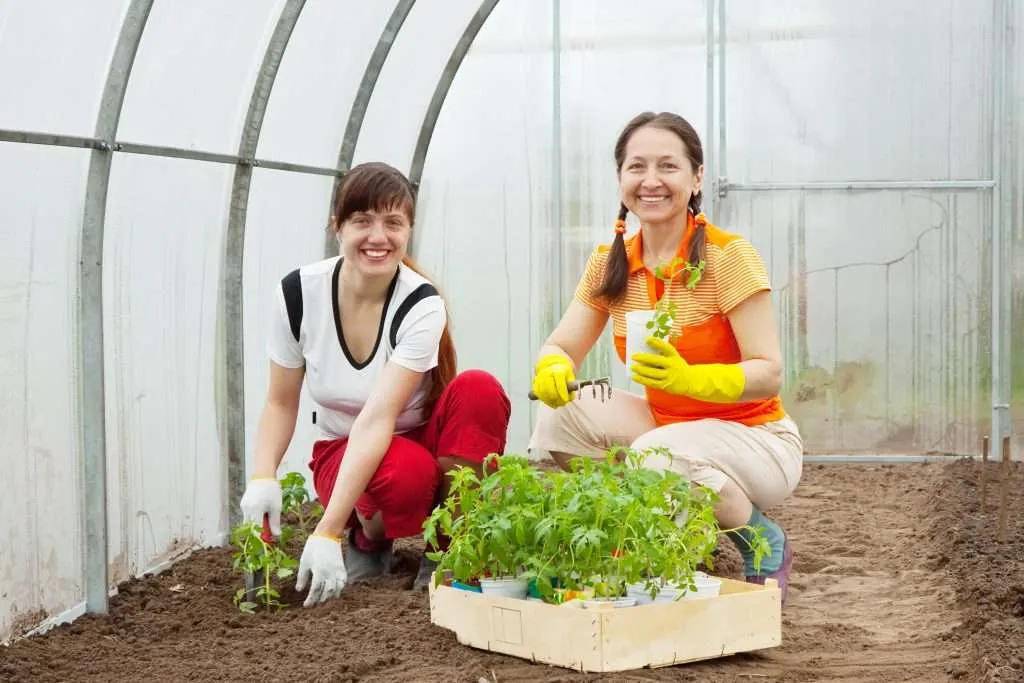 women planting tomato seedling e1567283255399