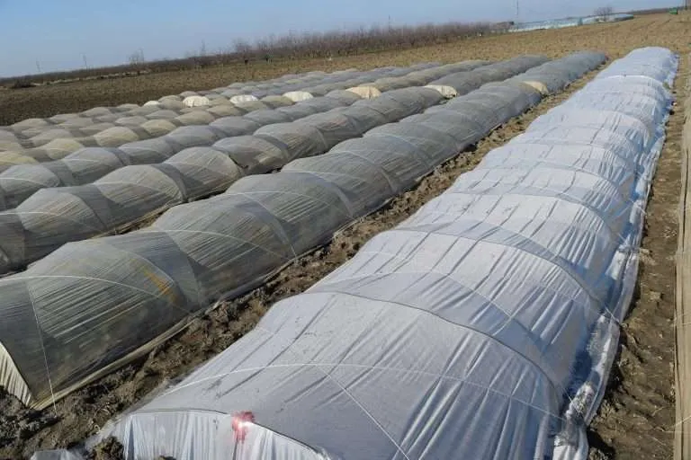 8 large and long polytunnels e1567283182876