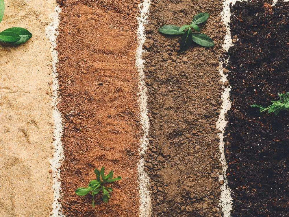 4 Soil types for gardening in a vertical line