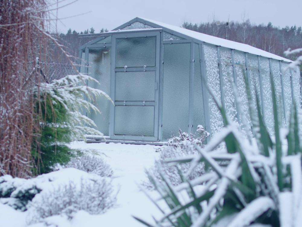 Snow in a vegetable garden with a greenhouse