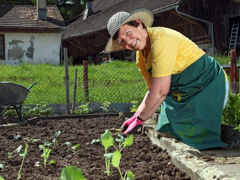 Woman planting vegetables in her backyard