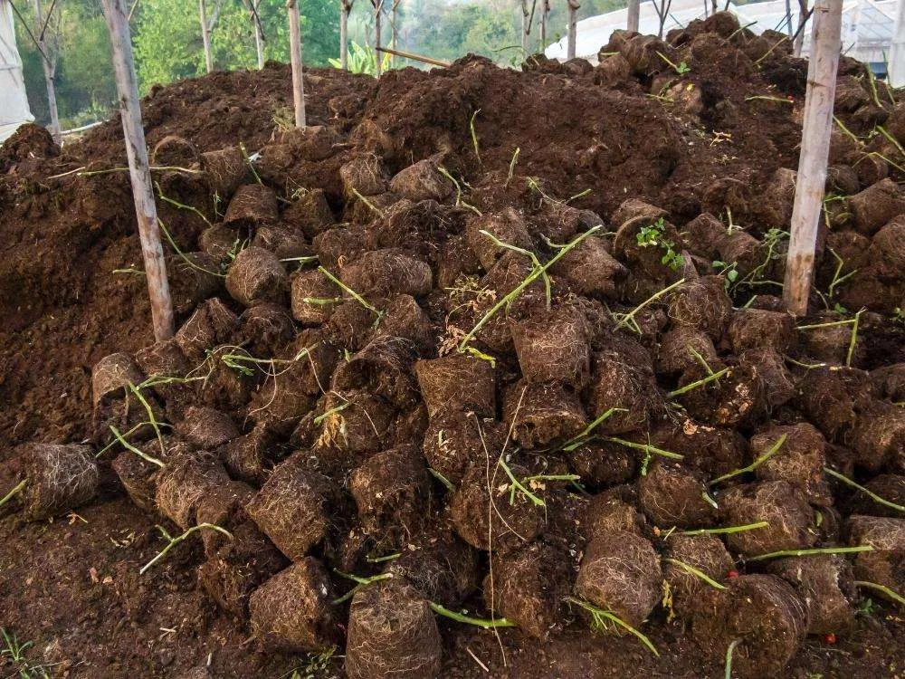 Pile of peat moss in a garden